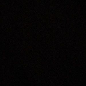 Meet your Posher, Ginger